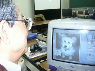 ペットの犬の写真を加工している様子